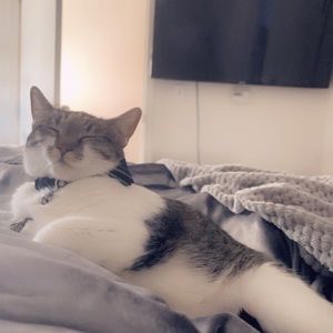 Meet your Posher, Maira medina